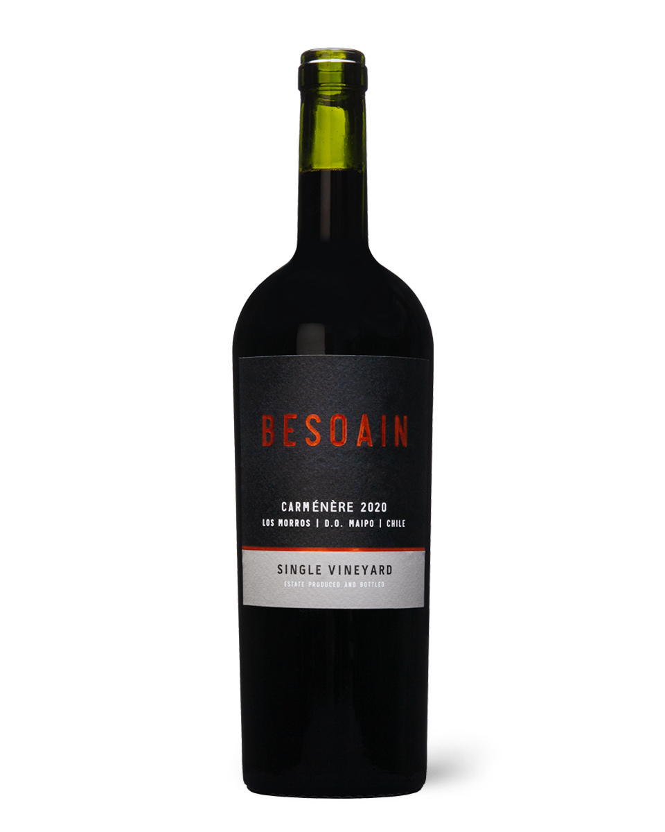 Lafken Besoain Carmenere