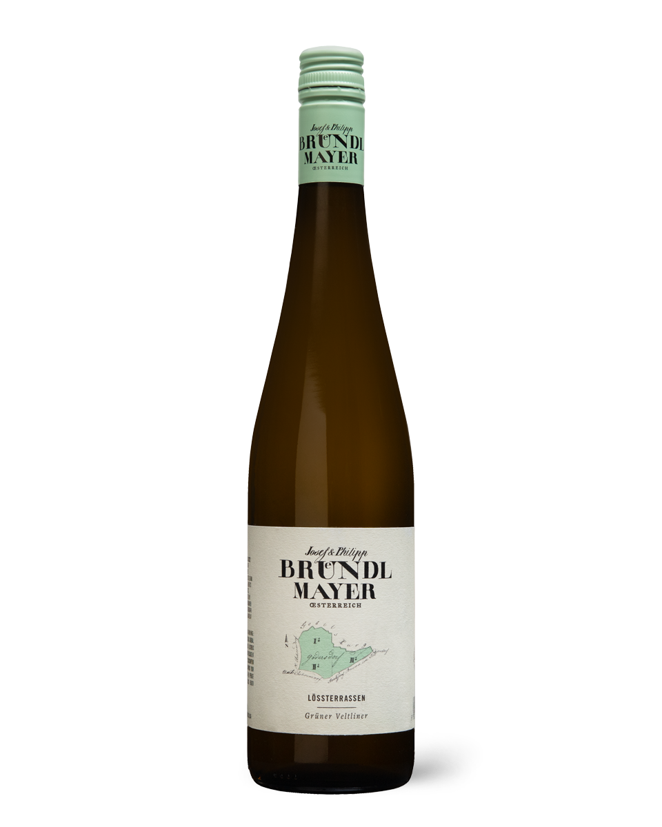Josef & Philipp Brundlmayer Gruner Veltliner Lossterrassen