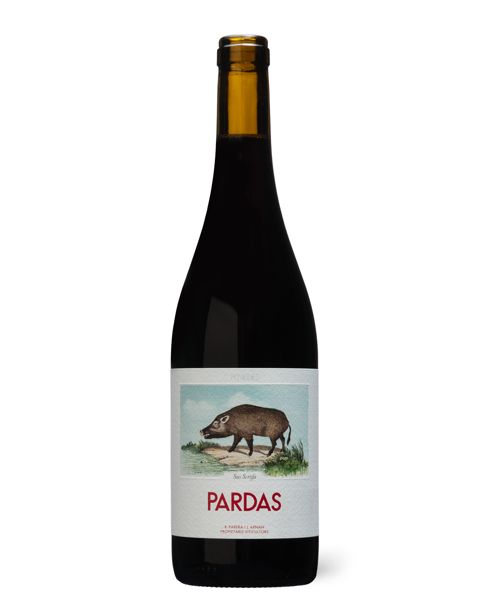Pardas Sus Scrofa