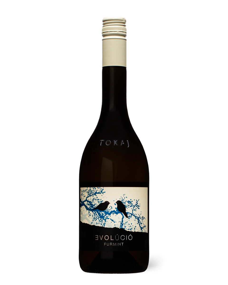 Evolucio Furmint