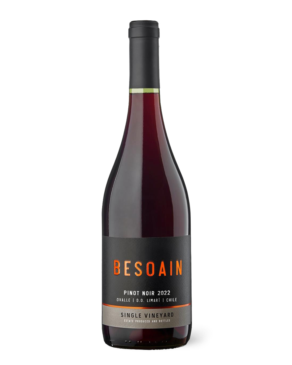 Lafken Besoain Pinot Noir