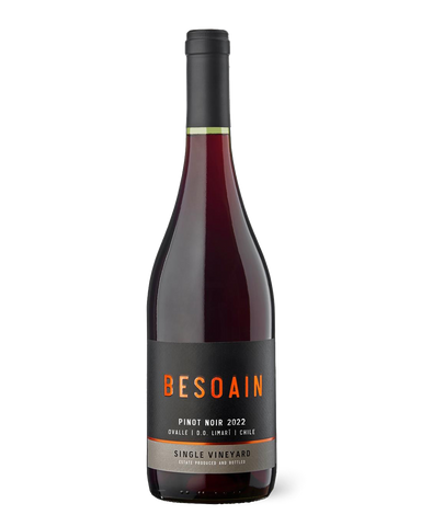 Lafken Besoain Pinot Noir