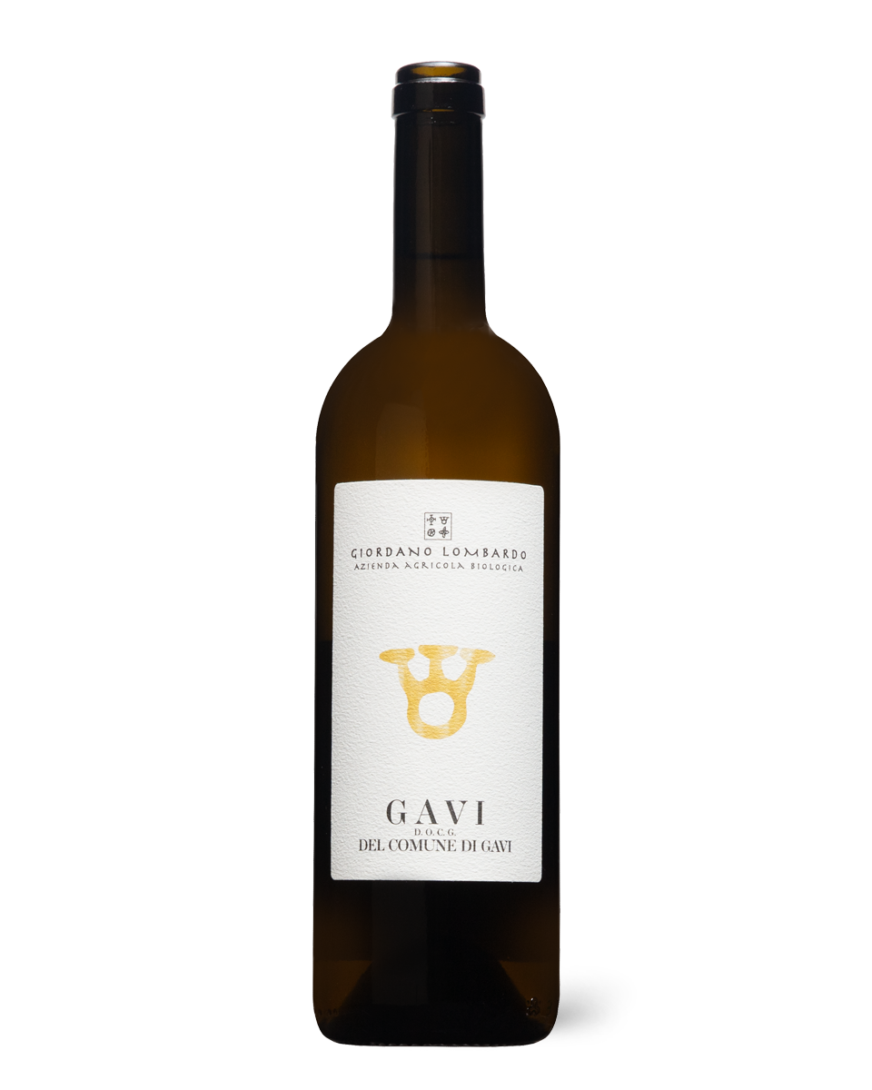 Giordano Lombardo Gavi