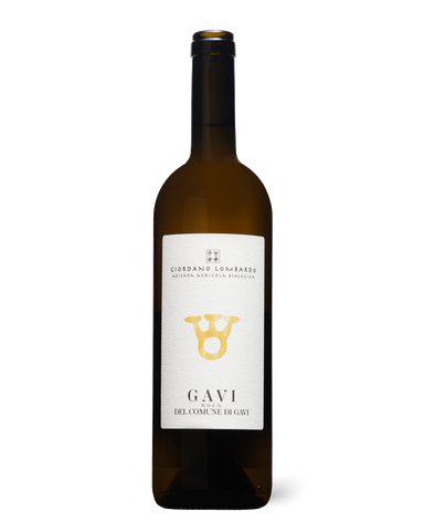 Giordano Lombardo Gavi